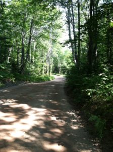 One of the Michigan back roads where Run for CHUM takes you. Most beautiful run I've ever done!