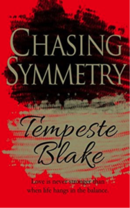 Chasing Symmetry book cover